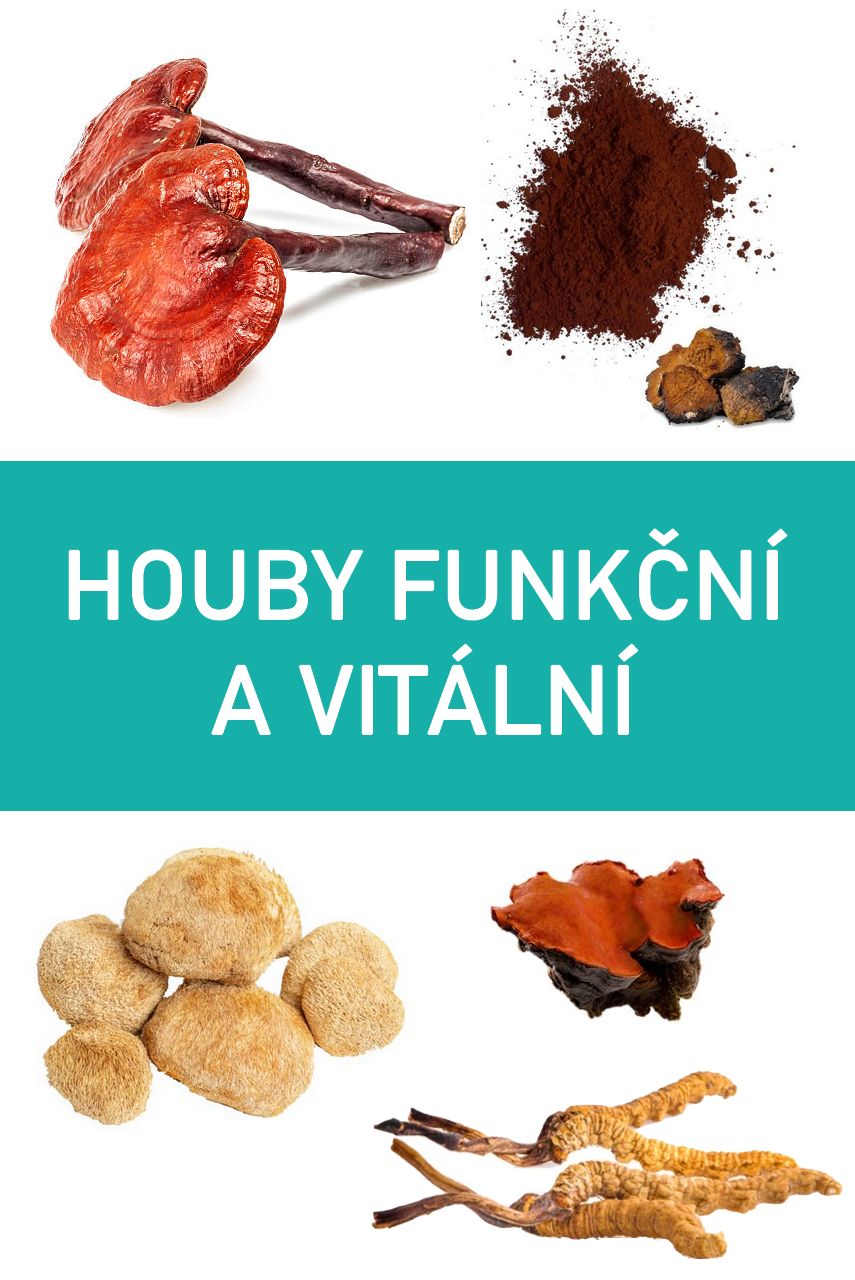 Houby funkční a vitální