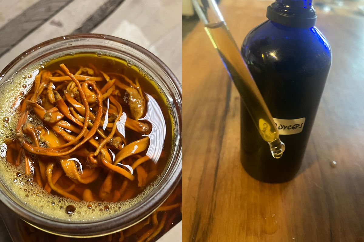 Naložím cordyceps , udělám tinkturu a užívám … účinky už asi dohledáte , nebo znáte …. Přeji hezký den a děkuji za přísun plodnic .. vypadali kvalitně 👍👍