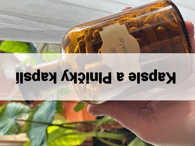 💊 Kapsle a Plničky kapslí
