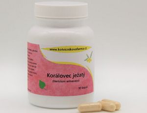 Štěpánka J.