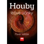 Houby a jejich léčivé účinky