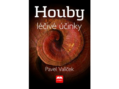 Houby a jejich léčivé účinky