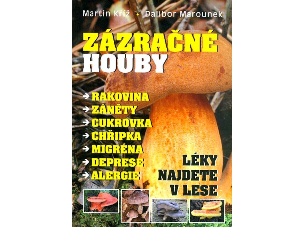 Zázračné houby - léky najdete v lese