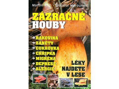 Zázračné houby - léky najdete v lese