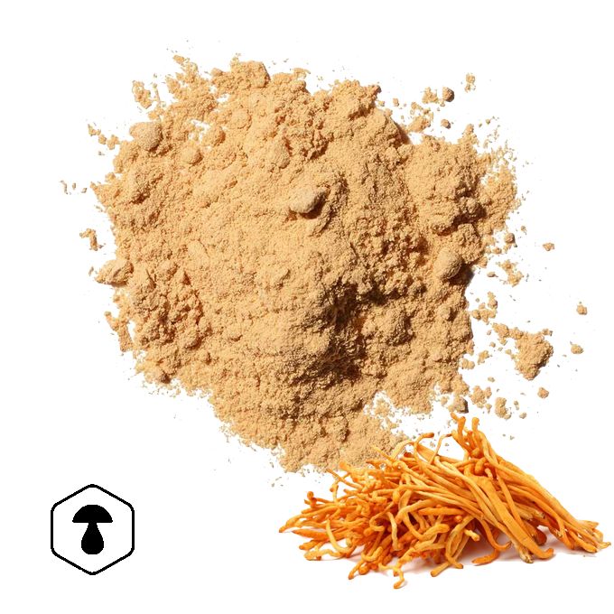 LifeChi Housenice červená (Cordyceps militaris) extrakt v prášku 50 g