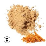 LifeChi - Housenice červená (Cordyceps militaris) extrakt v prášku 50 g