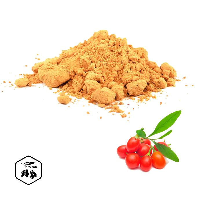 LifeChi Kustovnice čínská (Goji berry) extrakt v prášku 100 g