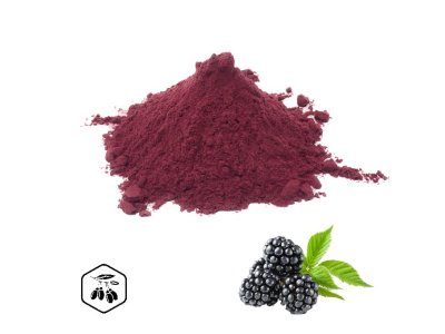 LifeChi - Ostružiník (Blackberry) extrakt v prášku 100 g