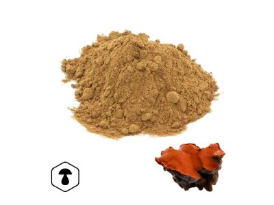 LifeChi - Outkovka kafrová (Antrodia cinnamomea) extrakt v prášku 50 g