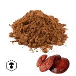 LifeChi - Reishi (Ganoderma lucidum) extrakt v prášku