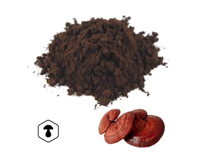 LifeChi - Reishi (Ganoderma lucidum) spórový prášek 50 g