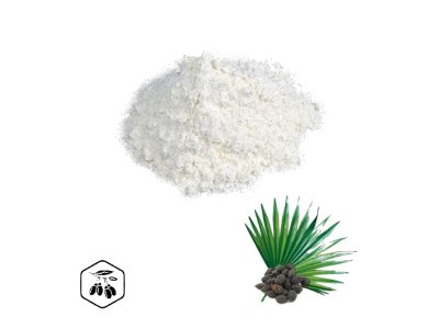 LifeChi - Serenoa plazivá (Saw palmetto) extrakt v prášku 50 g