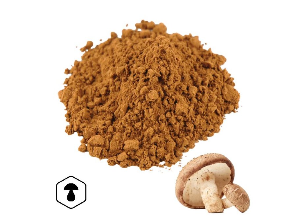 LifeChi - Shiitake (Lentinula edodes) extrakt v prášku 50 g