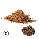 LifeChi - Outkovka pestrá (Coriolus versicolor) extrakt v prášku 50 g