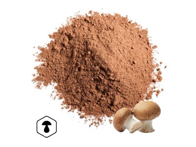 LifeChi - Agaricus (Agaricus blazei Murill) extrakt v prášku 50 g