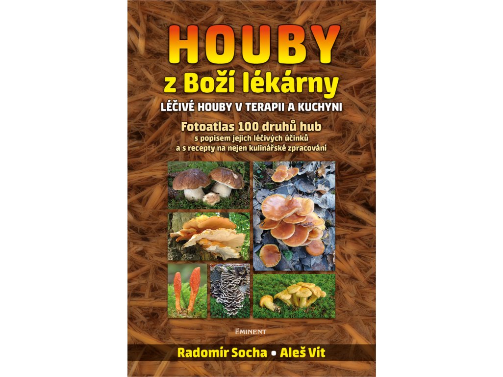 Houby z Boží lékárny - Léčivé houby v terapii a kuchyni