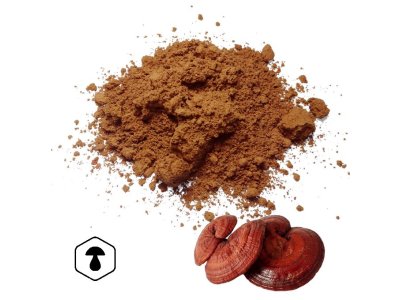 LifeChi - Reishi (Ganoderma lucidum) houbový prášek 100 g