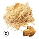 LifeChi - Korálovec ježatý (Hericium erinaceus) houbový prášek 100 g