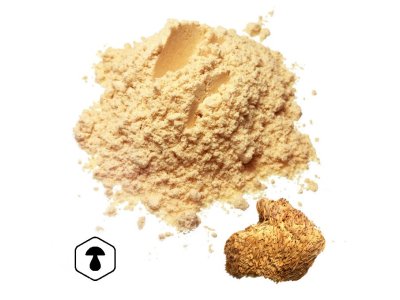 LifeChi - Korálovec ježatý (Hericium erinaceus) houbový prášek 100 g