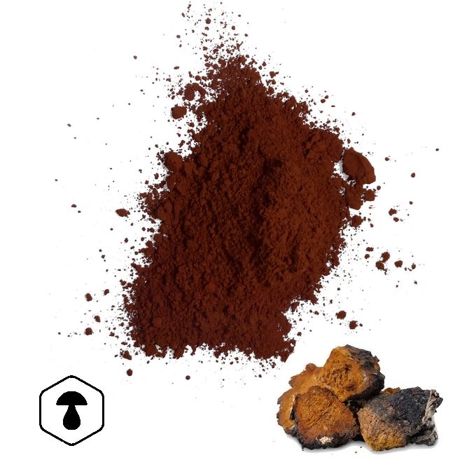 LifeChi - Chaga (Inonotus obliquus) houbový prášek 100 g