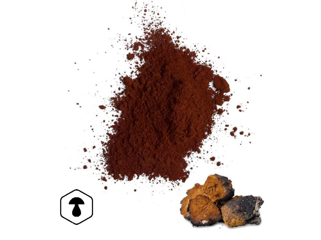 LifeChi - Chaga (Inonotus obliquus) houbový prášek 100 g