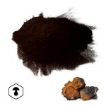 LifeChi - Chaga (Inonotus obliquus) extrakt v prášku 50 g