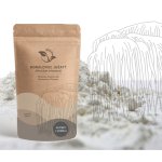 LifeChi - Korálovec ježatý (Hericium erinaceus) extrakt v prášku 50 g