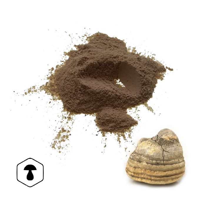 LifeChi - Agarikon (Laricifomes officinalis) extrakt v prášku 50 g