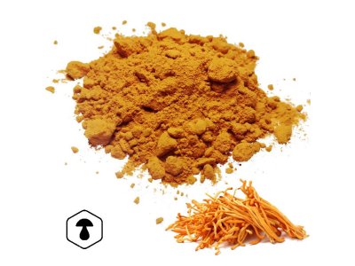 LifeChi - Housenice červená (Cordyceps militaris) houbový prášek 100 g