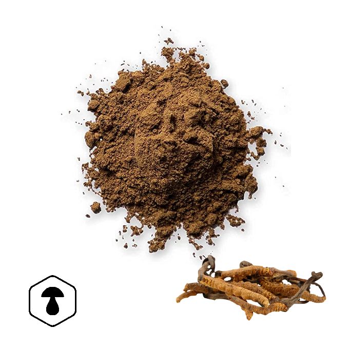 LifeChi - Housenice čínská (Cordyceps sinensis) houbový prášek 100 g