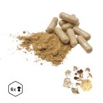 LifeChi - Houbový komplex - směs extraktů 400 mg, 100 rostlinných kapslí