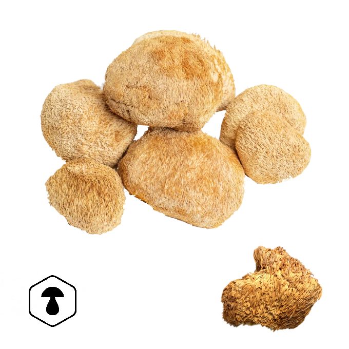 LifeChi - Korálovec ježatý (Hericium erinaceus) sušené plodnice 100 g