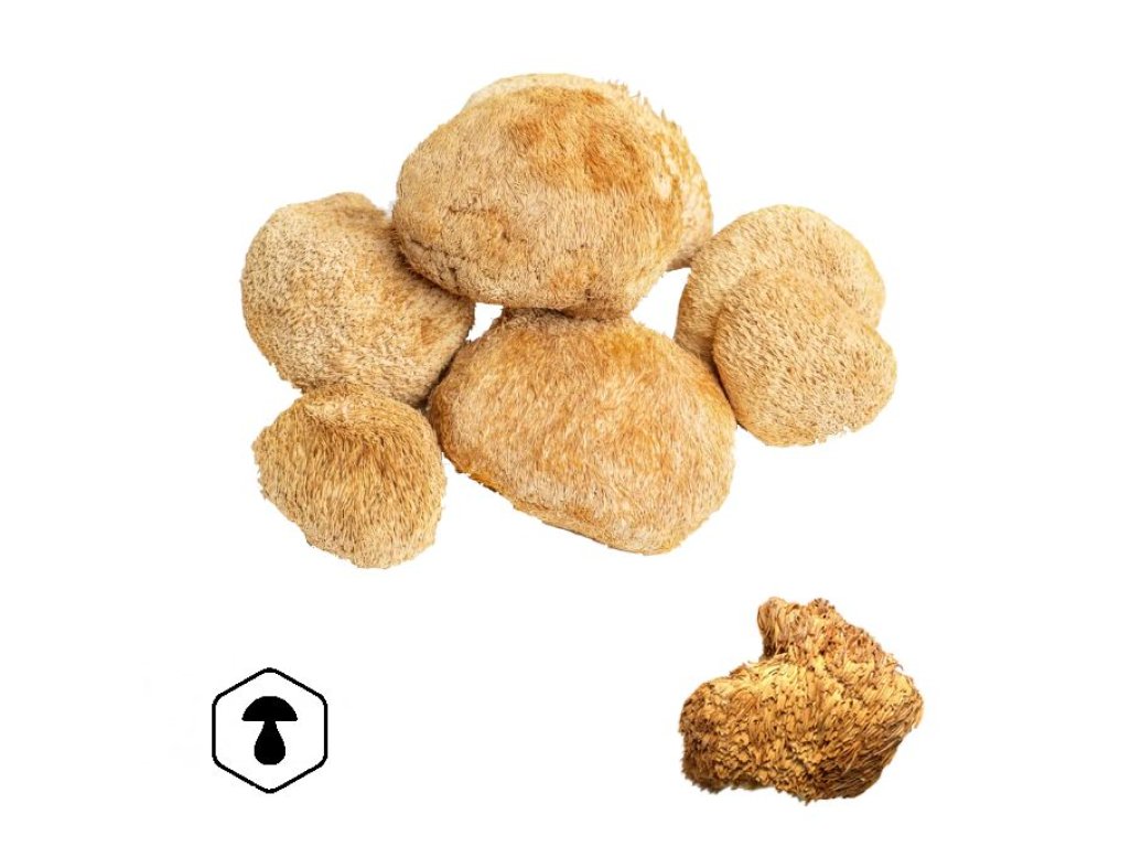 LifeChi - Korálovec ježatý (Hericium erinaceus) sušené plodnice 100 g