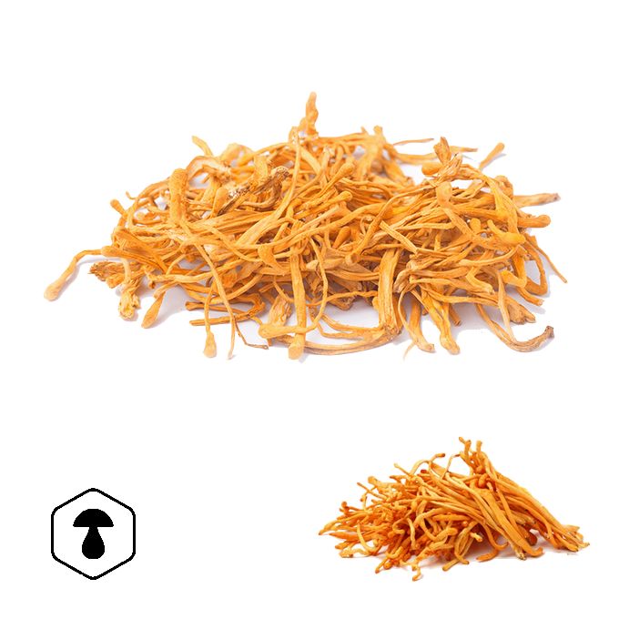 LifeChi - Housenice červená (Cordyceps militaris) sušené plodnice 100 g