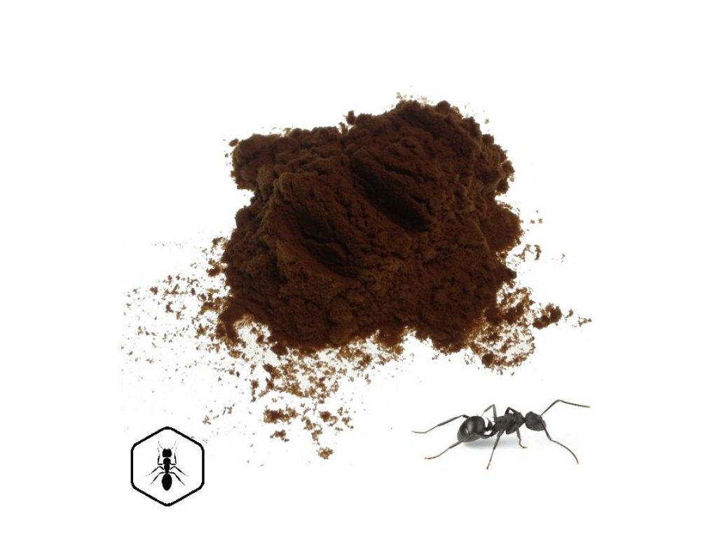 LifeChi - Black Ant (Polyrhachis vicina) extrakt v prášku 25 g