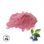 LifeChi - Borůvka (Blueberry) extrakt v prášku 50 g