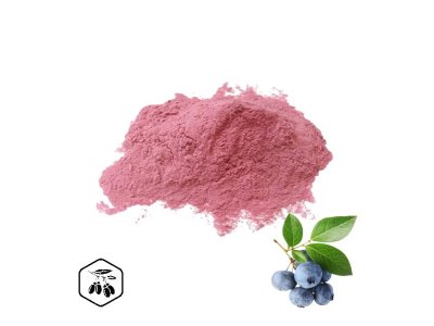 LifeChi - Borůvka (Blueberry) extrakt v prášku 50 g