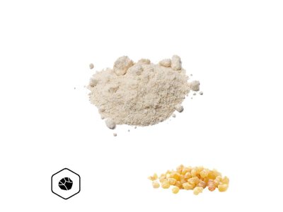 LifeChi – Kadidlovník pilovitý (Boswellia serrata) extrakt v prášku 25 g