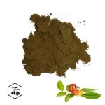 LifeChi – Cicimek čínský (Ziziphus jujuba) extrakt v prášku 25 g 10:1 extrakt 25 g