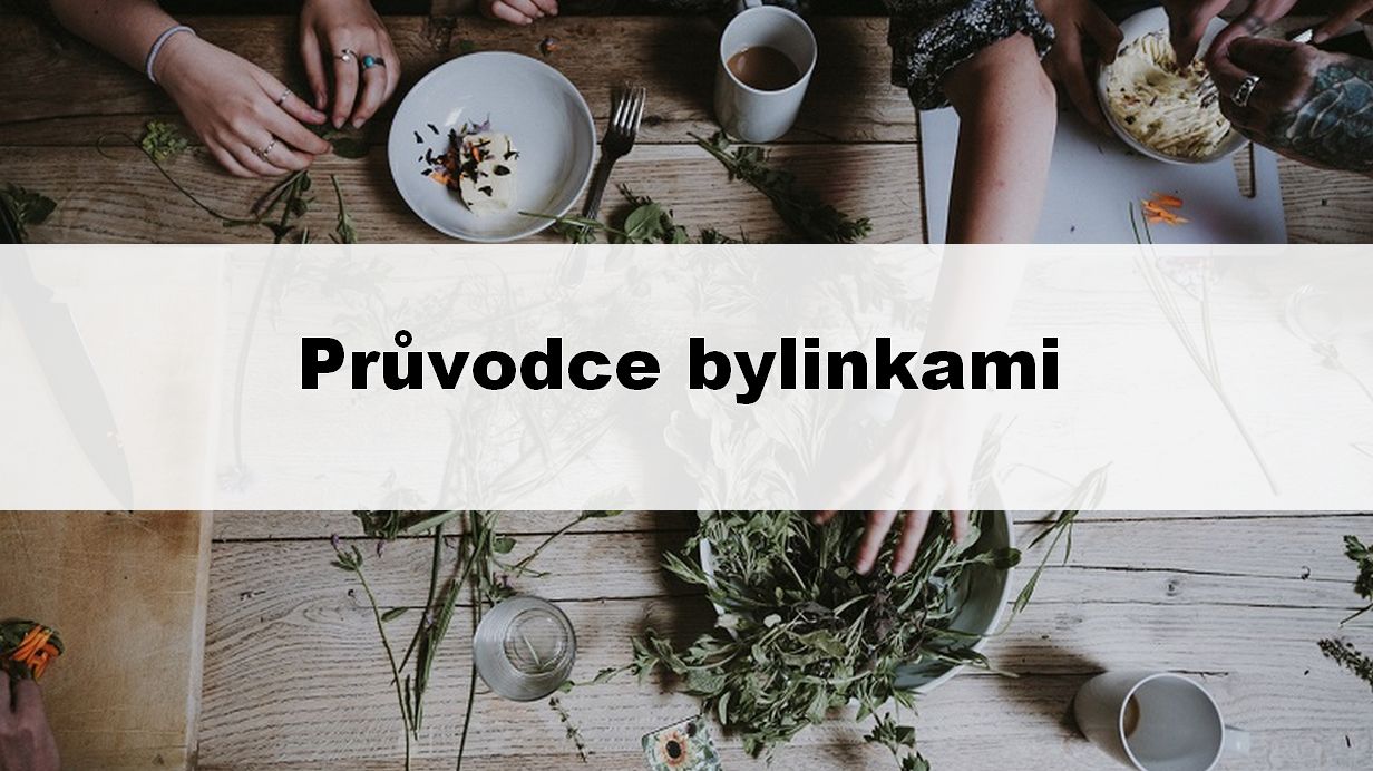 Průvodce bylinkami