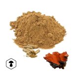 LifeChi - Outkovka kafrová (Antrodia camphorata) extrakt v prášku nebo kapslích