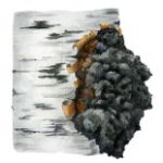 Chaga