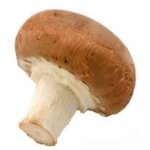 Agaricus