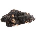 Polyporus