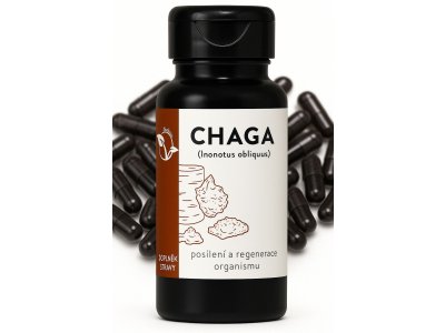 LifeChi - Chaga (Inonotus obliquus) extrakt 400 mg, 100 rostlinných kapslí