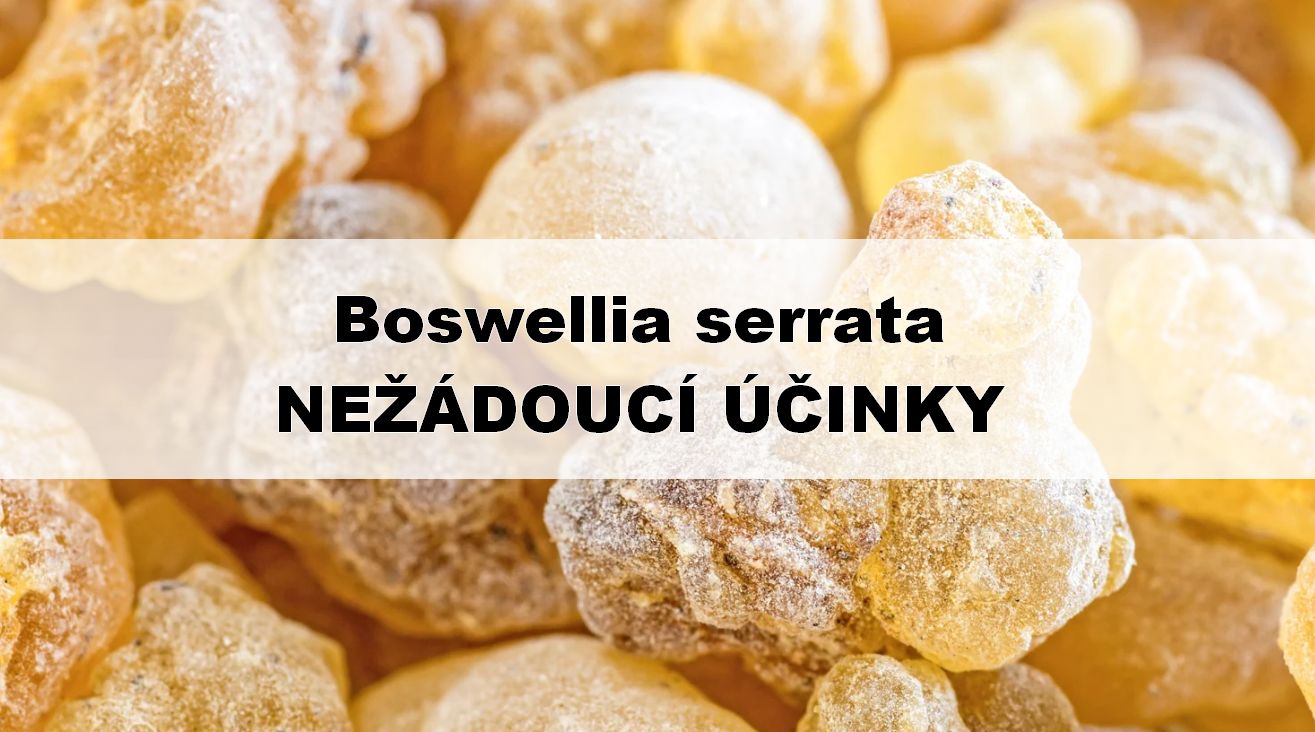 Boswellia serrata – nežádoucí účinky