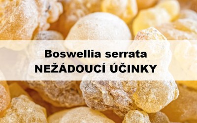 Boswellia serrata – nežádoucí účinky