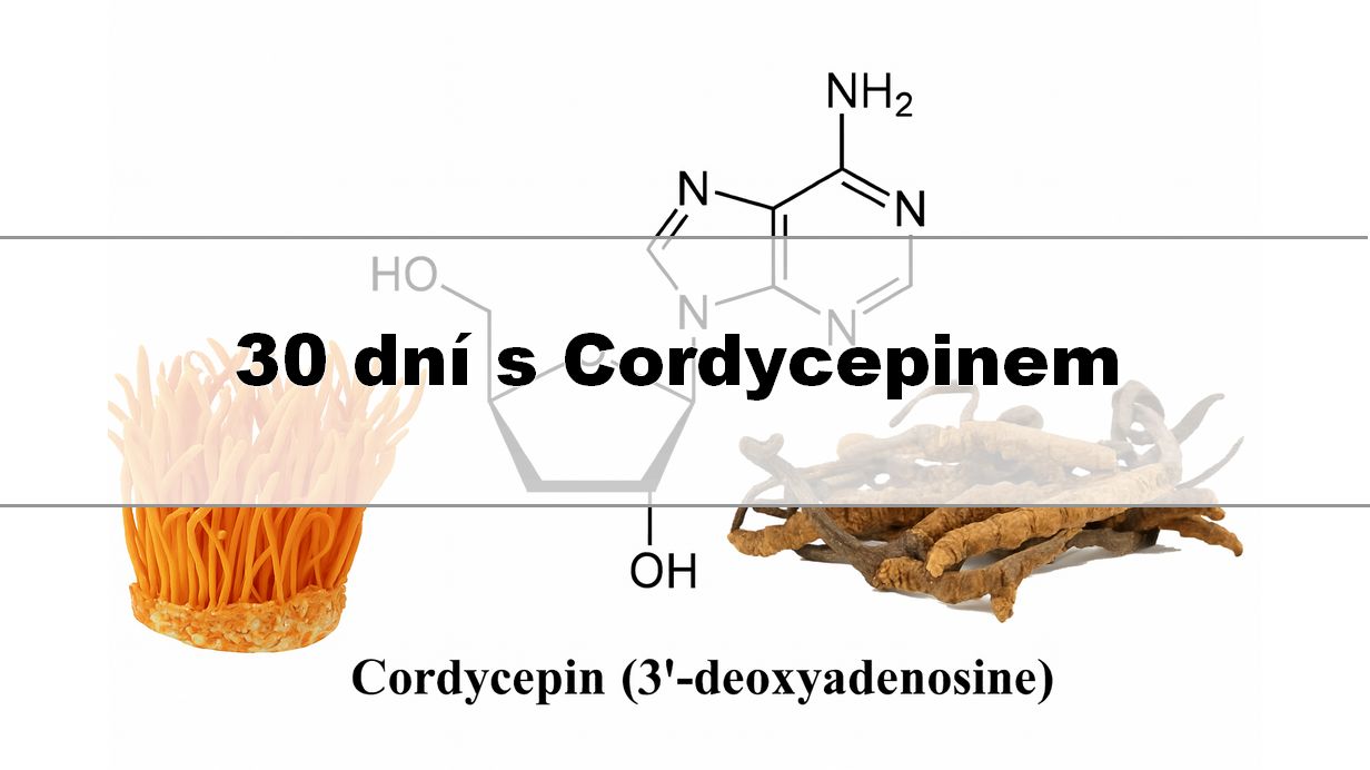 30 dní s Cordycepinem