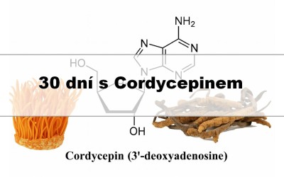 30 dní s Cordycepinem