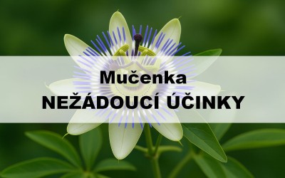 Mučenka - nežádoucí účinky